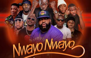 DJ Gambit – Nwayo Nwayo Like Dat Mixtape